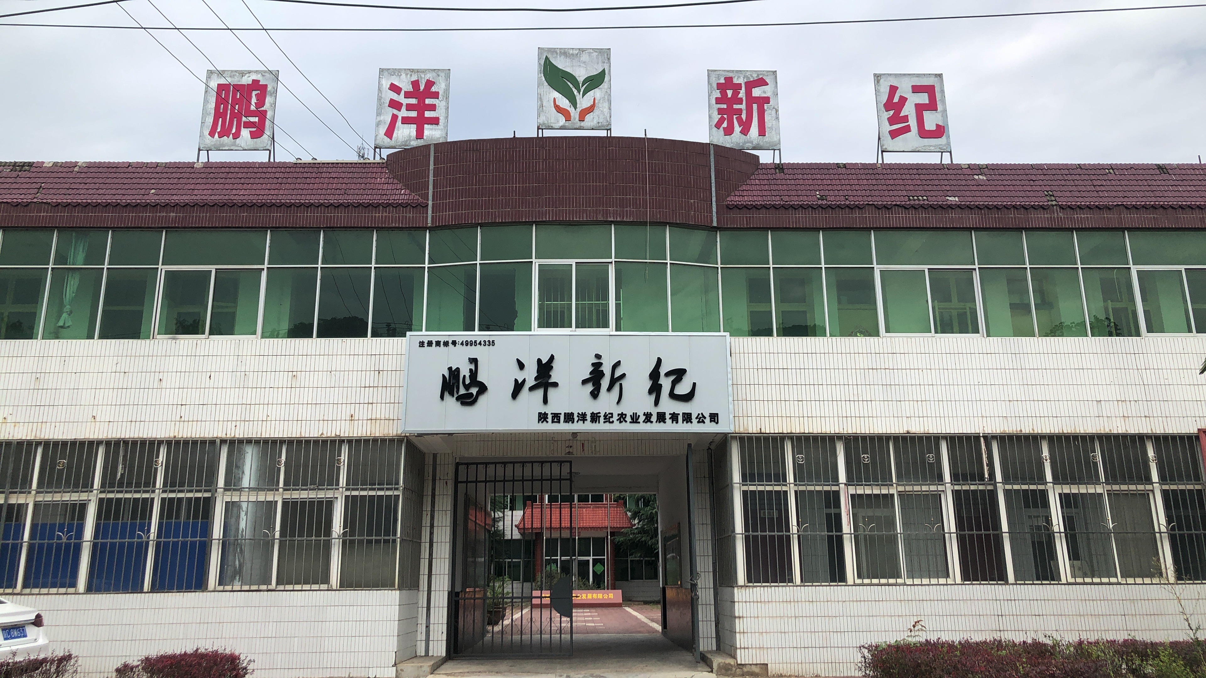 公司介紹